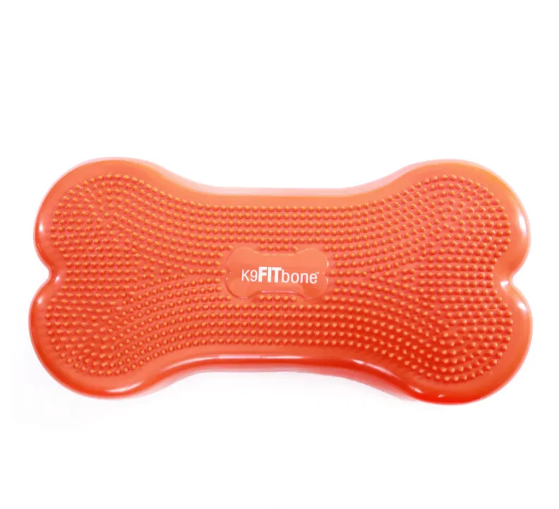 K9Fitbone Dog Balance Training Platform
