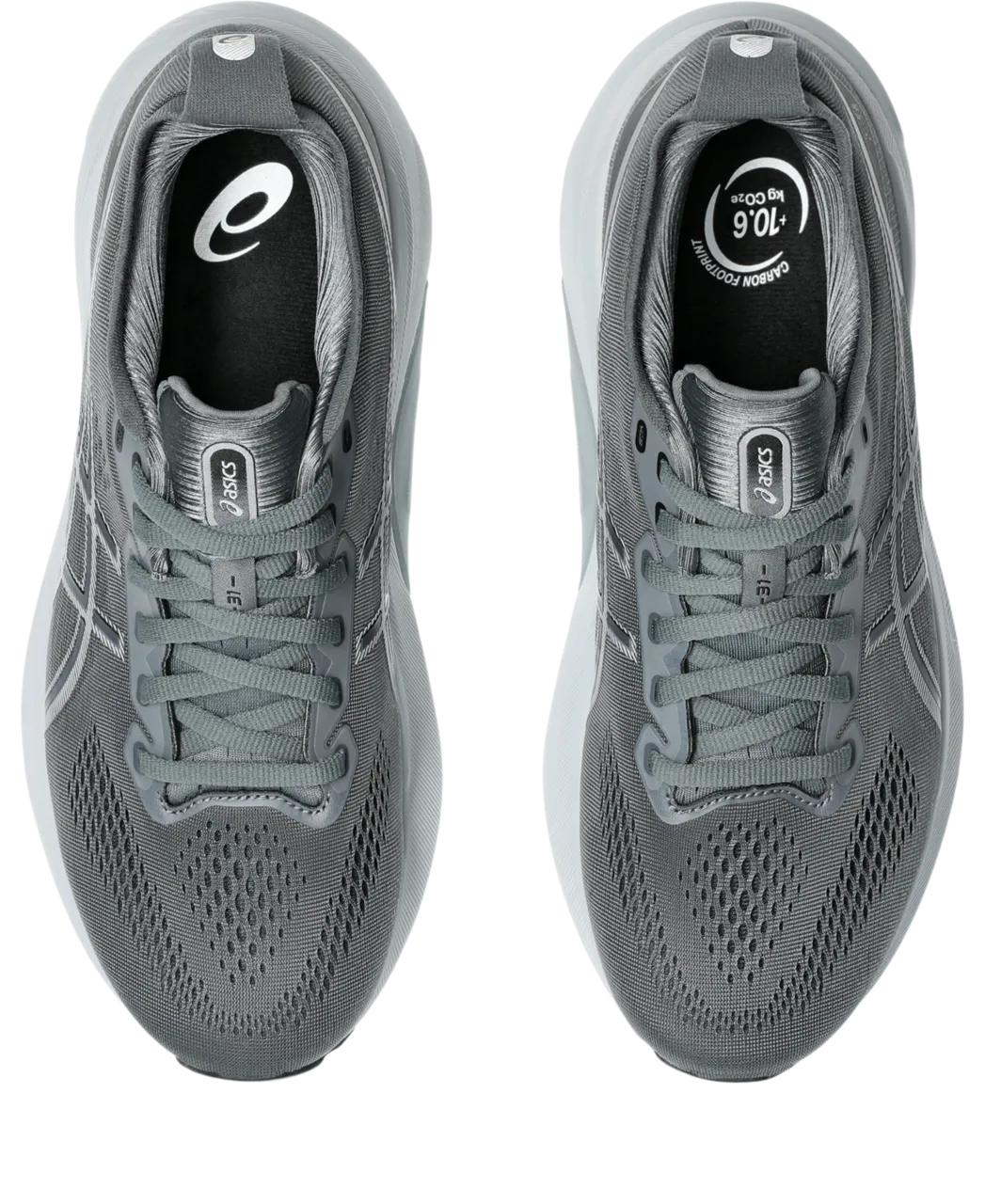 Men's GEL-Kayano 31 WIDE (020 - Steel Grey/Piedmont Grey)
